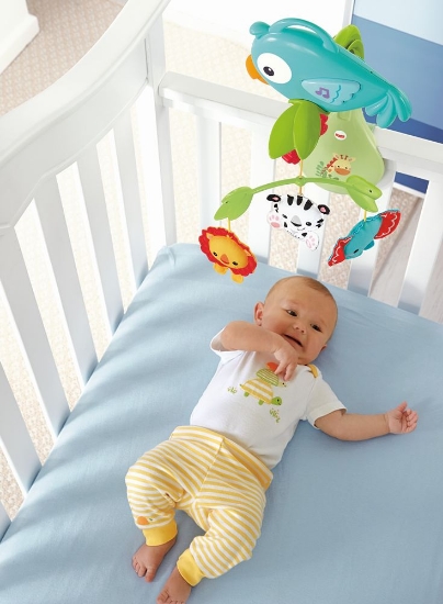 Imagine SUPORT PENTRU PATUT SI CARUCIOR PRIETENII DIN PADURE FISHER PRICE