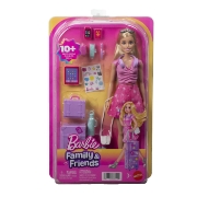 Imagine BARBIE FAMILY AND FRIENDS SET DE CALATORIE