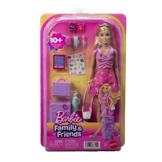 Imagine BARBIE FAMILY AND FRIENDS SET DE CALATORIE