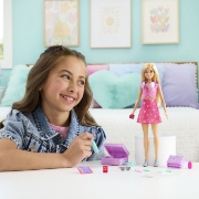 Imagine BARBIE FAMILY AND FRIENDS SET DE CALATORIE