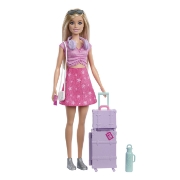 Imagine BARBIE FAMILY AND FRIENDS SET DE CALATORIE
