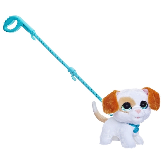 Imagine FURREAL CU CATELUL LA PLIMBARE