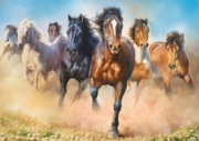 Imagine PUZZLE TREFL 2000 HERGHELIE DE CAI GALOPAND
