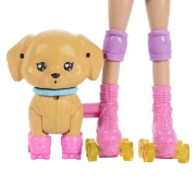 Imagine BARBIE PETS SET PAPUSA BARBIE CU PATINE CU ROTILE CATEL SI ACCESORII