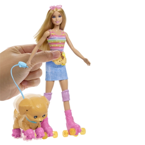 Imagine BARBIE PETS SET PAPUSA BARBIE CU PATINE CU ROTILE CATEL SI ACCESORII