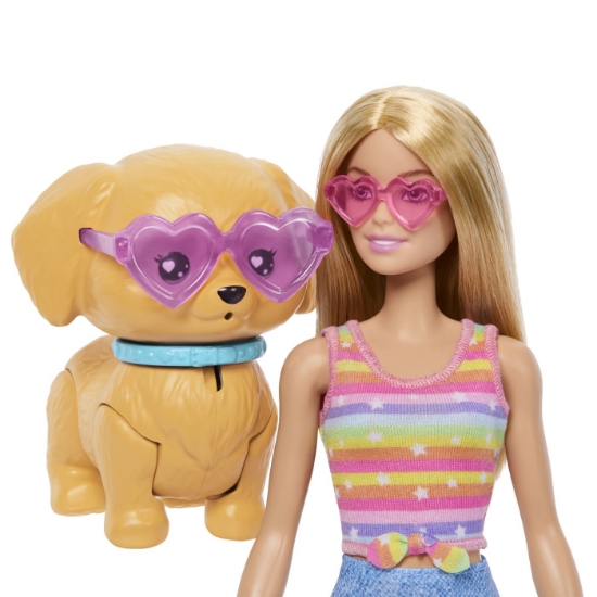 Imagine BARBIE PETS SET PAPUSA BARBIE CU PATINE CU ROTILE CATEL SI ACCESORII