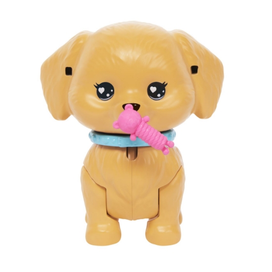 Imagine BARBIE PETS SET PAPUSA BARBIE CU PATINE CU ROTILE CATEL SI ACCESORII