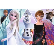 Imagine PUZZLE TREFL 100 FROZEN TARAMUL INCANTATOR