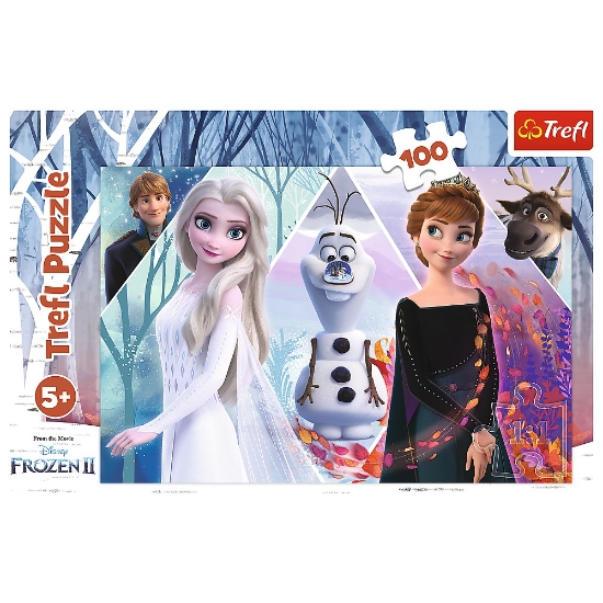 Imagine PUZZLE TREFL 100 FROZEN TARAMUL INCANTATOR
