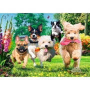 Imagine PUZZLE TREFL 1000 PREMIUM PLUS TEA TIME VIN PROBLEMELE