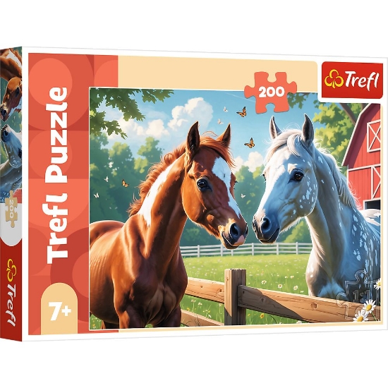 Imagine PUZZLE TREFL 200 CAI IN POIANA