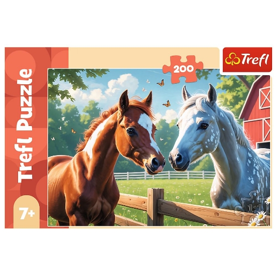 Imagine PUZZLE TREFL 200 CAI IN POIANA