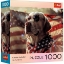 Imagine PUZZLE TREFL 1000 COLECTIA SUA CAINE AMERICAN POSTER INCLUS
