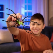 Imagine  HEX BOTS PAIANJEN ROBOT NEGRU