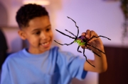 Imagine  HEX BOTS PAIANJEN ROBOT NEGRU