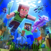 Imagine PUZZLE MINECRAFT 3X49