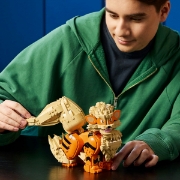 Imagine LEGO POKEMON ARCANINE 72160