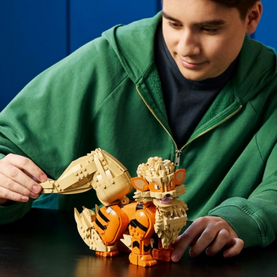 Imagine LEGO POKEMON ARCANINE 72160