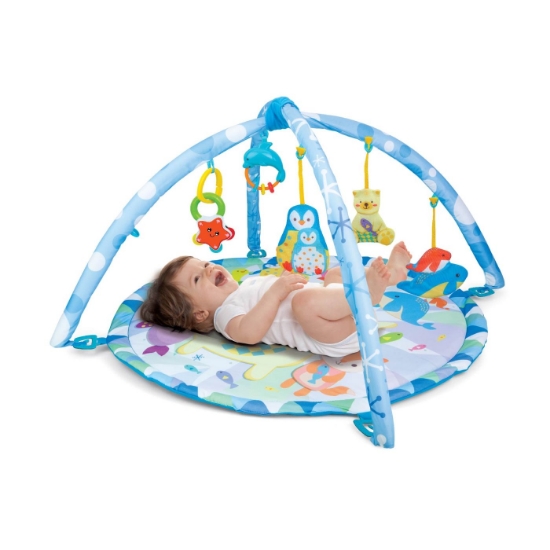 Imagine WINFUN SALTELUTA CU ACTIVITATI TEMA POLARA 