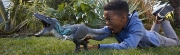 Imagine JURASSIC WORLD SURVIVAL MUSCLE MADNESS DINOZAUR INTERACTIV TYRANNOSAURUS REX