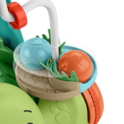 Imagine FISHER PRICE ANTEMERGATOR BROSCUTA TESTOASA 