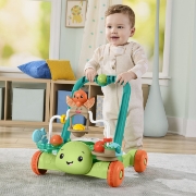 Imagine FISHER PRICE ANTEMERGATOR BROSCUTA TESTOASA 