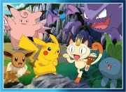 Imagine PUZZLE POKEMON 300 XXL 